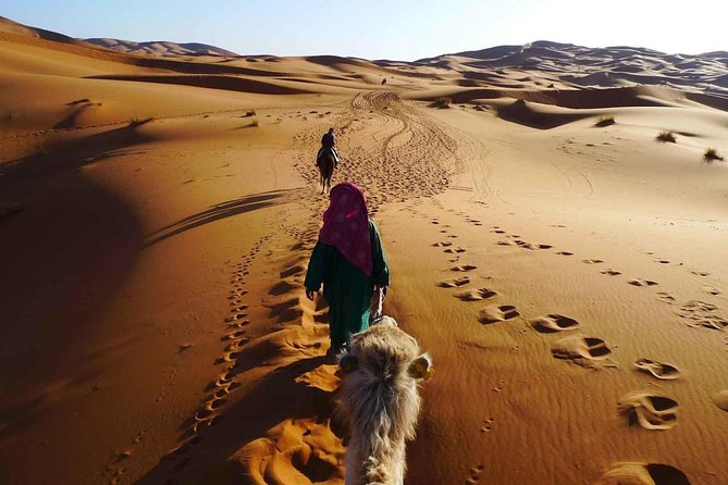 El Borj Desert Tour From Agadir - 2 Days - Itinerary Highlights