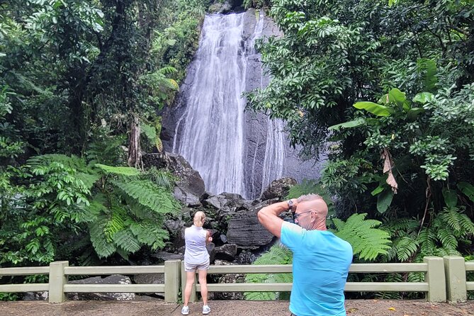 El Yunque National Forest - The Road 191 Corridor - Half Day Tour - Inclusions