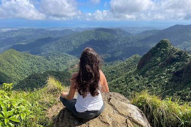 El Yunque Rainforest Full Day Private Tour - Reviews and Feedback