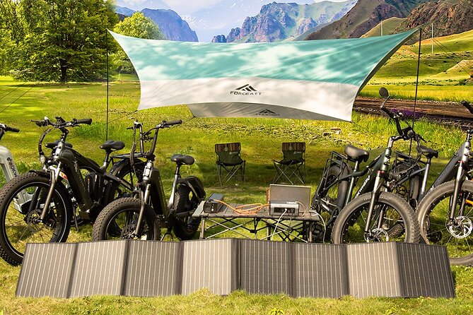 Electric Bike Rentals With Delivery - Booking Process and Requirements