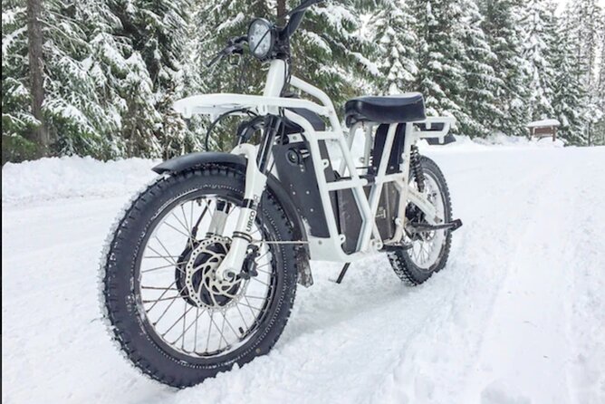 Electric Dirtbike Adventure in Lake Tahoe - Scenic Views and Photo Ops