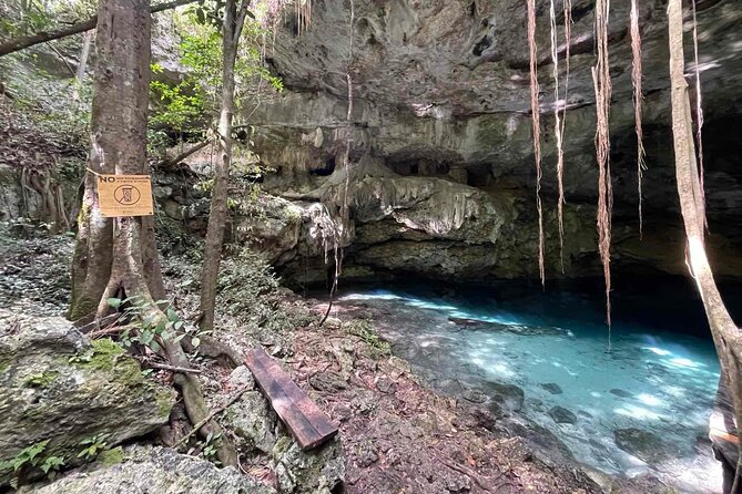 Electric Fatbike Ecological Tour in the Mayan Lands - Meeting and Pickup Information