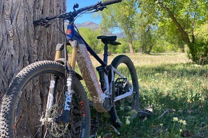 Electric Mountain Bike Rental Experience - Rental Process and Preparations