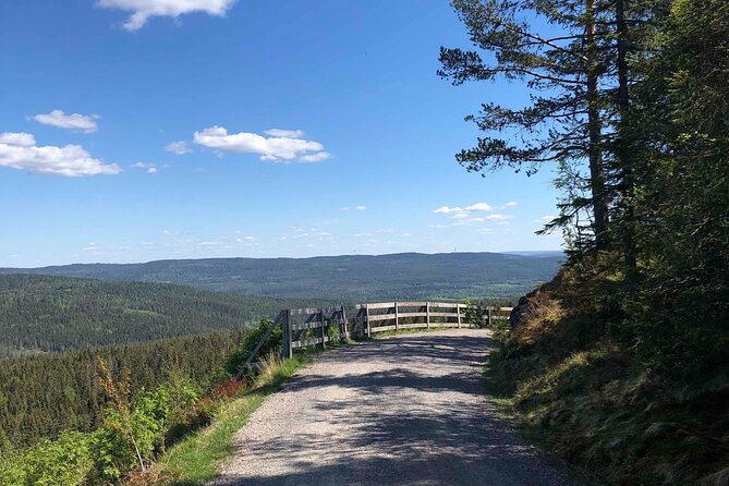 Electric Mountain Bike Tour in the Forest of Oslo - Schedule and Availability