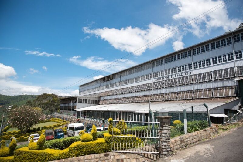 Ella: Liptons Seat Tour With Dambetanna Tea Factory Visit - Itinerary Highlights