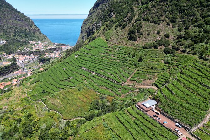 Enchanted Vineyards, Wine 4x4 Tour and Sea Cliff Cabo Girão - Pricing and Cancellation
