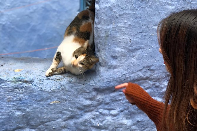 Enchanting Chefchaouen: Discover the Magical Blue City on Budget - Exploring the Blue City