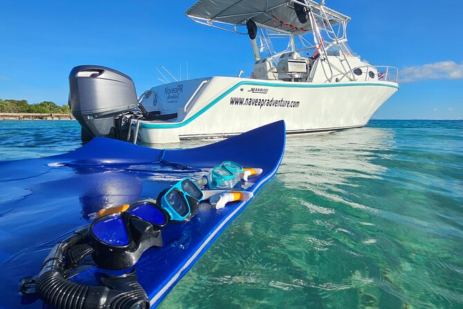 Enjoy the Best Boat Excursion in Puerto Rico. All Inclusive - Health and Safety Guidelines