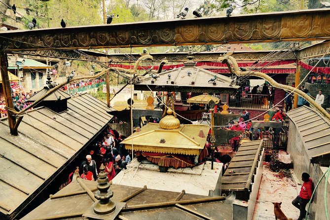 Escorted Full Day Pharping, Dakshinkali and Kirtipur Day Trip With Newari Lunch - Itinerary Overview