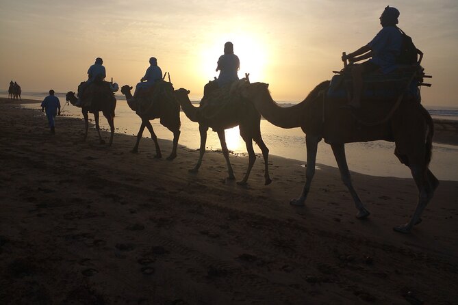 Essaouira: 1 Hour Dromedary + 2 Hours Quad - Dromedary Adventure