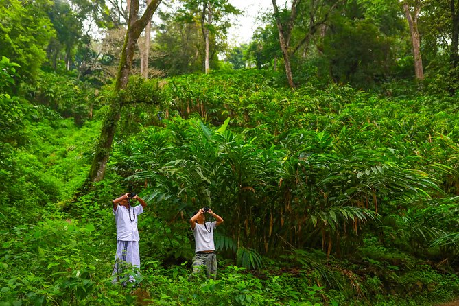 Essence of Munnar in a Day - Meeting and Pickup Details
