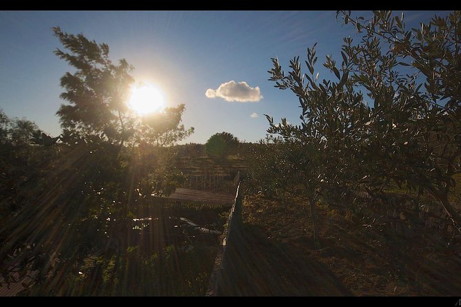 Etna Volcanic Yoga and Meditation Weekend (Private Experience) - Included Amenities and Facilities