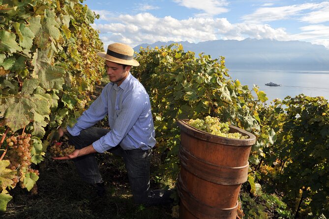 Etna Wine & Food Tasting Plus Honey Laboratory Private Tour - Pricing and Payment Options