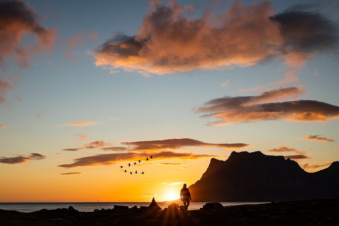 Evening Fjords Tour in Kvaløya - Inclusions and Highlights