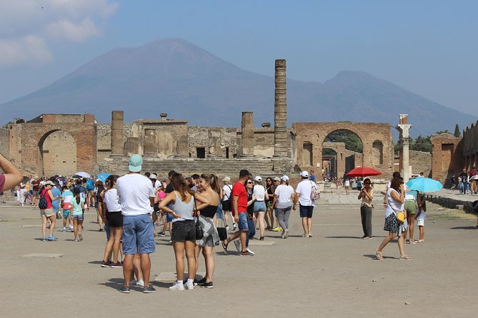 Excavations of Pompeii. Tourist Guide and Skip-The-Line Ticket - Monolingual Tour With Licensed Guide