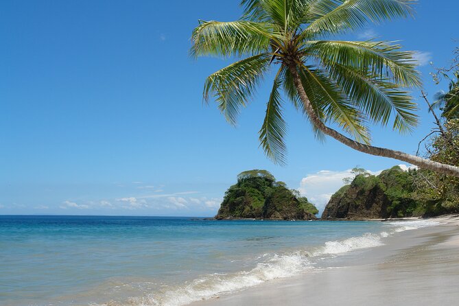 Exclusive Beach Day Tour to Punta Leona From San Jose - Meeting and Pickup Information