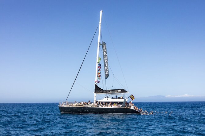 Exclusive Freebird Catamaran Whale & Dolphin to Masca From South - Pickup Information