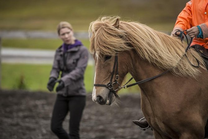 Exclusive Riding Program for Advanced Horse Riders - Give Me 5! - 2 to 3 Hours - Activity and Safety Guidelines