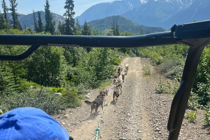 Exclusive Yukon Full-Day Tour With Dog Mushing Adventure - Itinerary and Timing