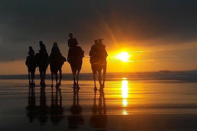 Excursion: 1h/Quad+1h/Camels (Free Transfer) - Safety Measures and Equipment