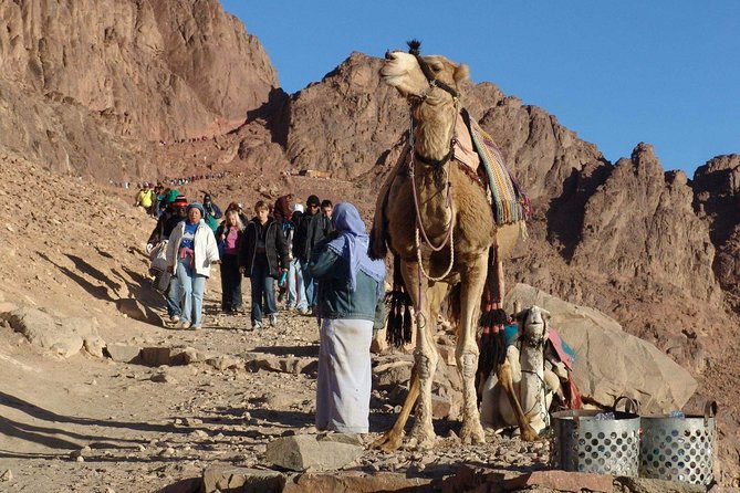 Excursion to Mosesberg and Kathrinen Monastery From Sharm El Sheikh - Transportation and Accessibility