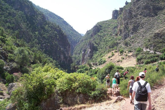 Excursion to the Rif Mountains and Chefchaouen - Private Tour Experience