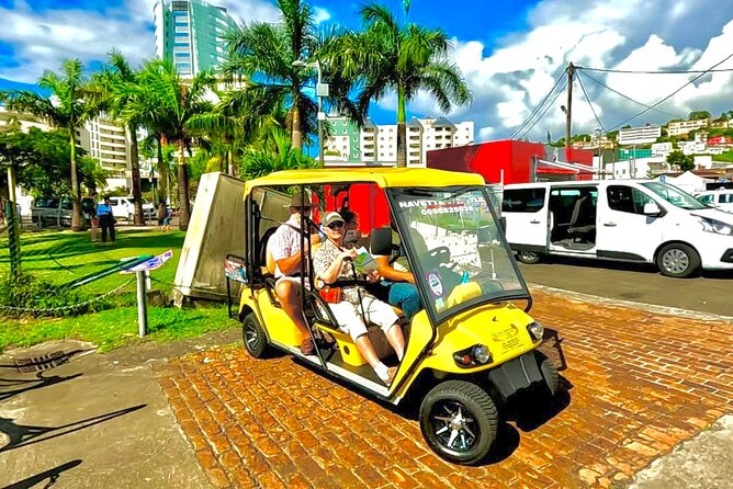 Excursions and Visits Everywhere in Martinique - Tour Reviews Breakdown