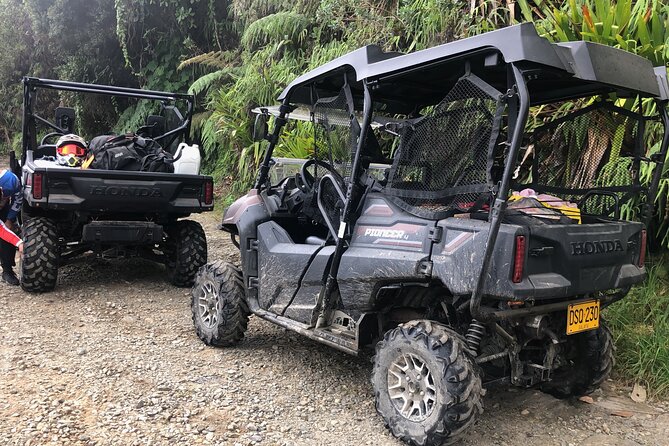 Exotic Wildlife and Birdwatching Safari at Parrot Foundation - Transportation and Inclusions