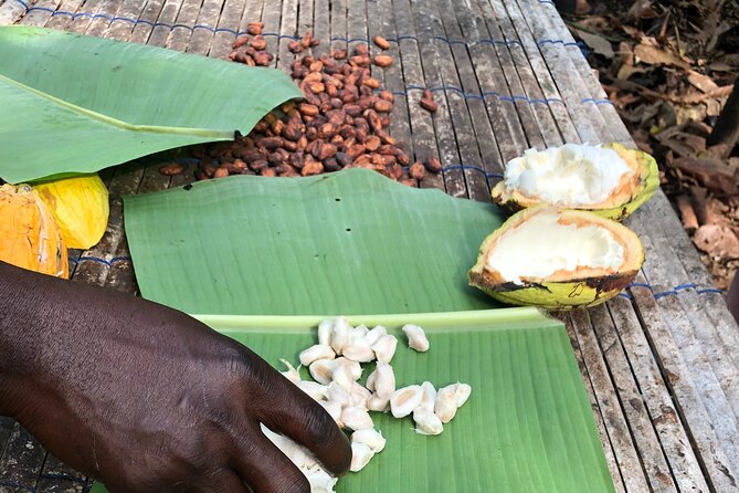 Experience Boti Waterfalls, Aburi Botanical Gardens & Tetteh Quarshie Cocoa Farm - Explore Aburi Botanical Gardens