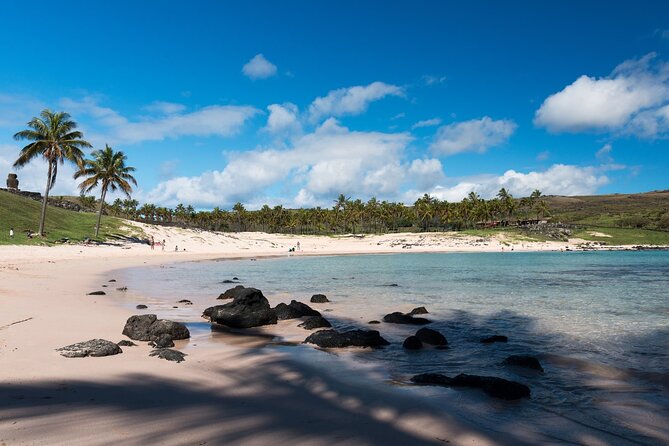 Experience Easter Island Shared Tour for Cruise Ship Passengers - Meeting and Pickup