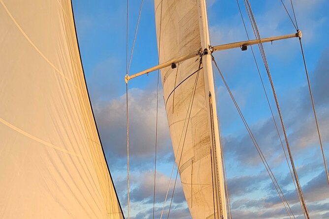 Experience Oceanside Sailing With Whales and Dolphins! - Inclusions for Your Adventure