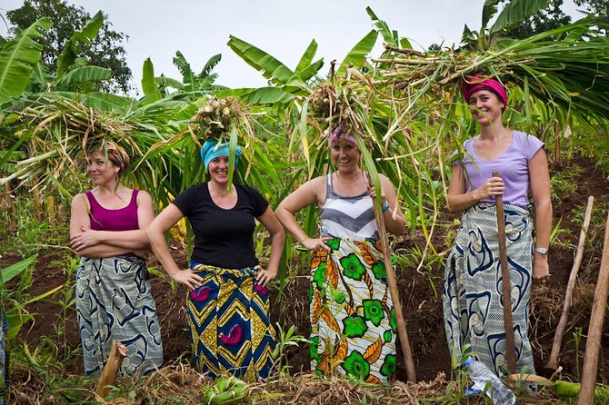 Experience Traditional Construction - Activities and Experiences
