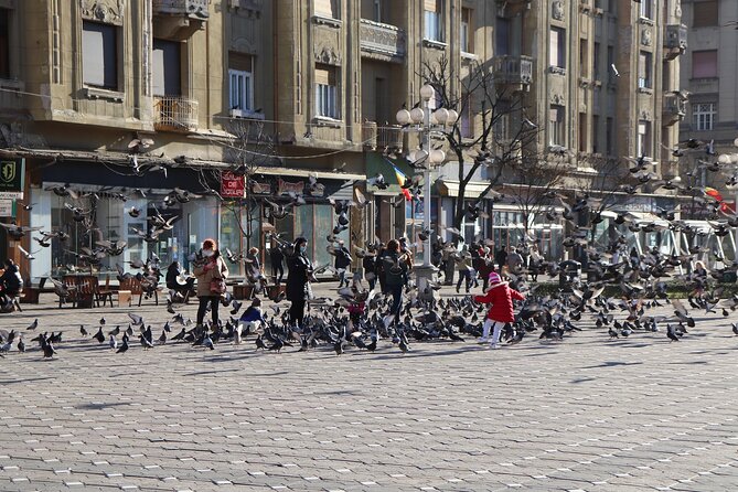 Explore Timisoara in 60 Minutes With a Local - Discovering Historic Landmarks