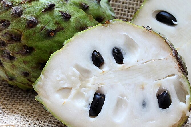 Explore Tropical Fruits & Flowers on Barbados Premier Eco-tour! - Meeting and Pickup
