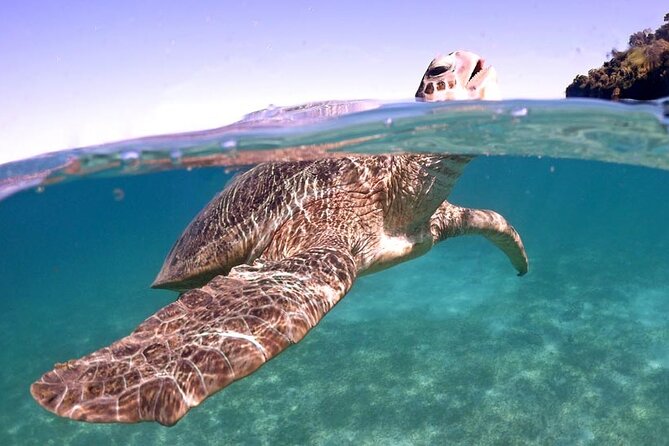 Exploring Nosy Sakatia With Guide - Highlights of the Excursion