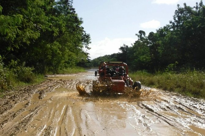 Family Buggy Tour - Trail Experience
