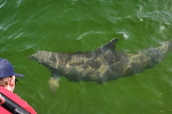 Family Fun Combo: Dolphins, Fishing & Swimming (Flowing Water Charters) - Meeting Point and Pickup Details
