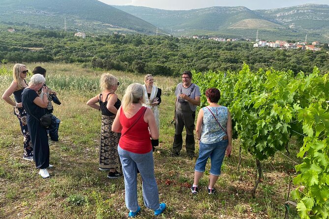 Family-Run Vineyard Tour Review: A Delightful Experience - Vineyard and Orchard Tour