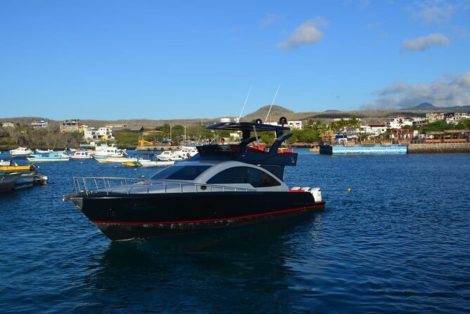 FERRY TICKET From: Isabela / To: Santa Cruz (AM) - Meeting Location and Time