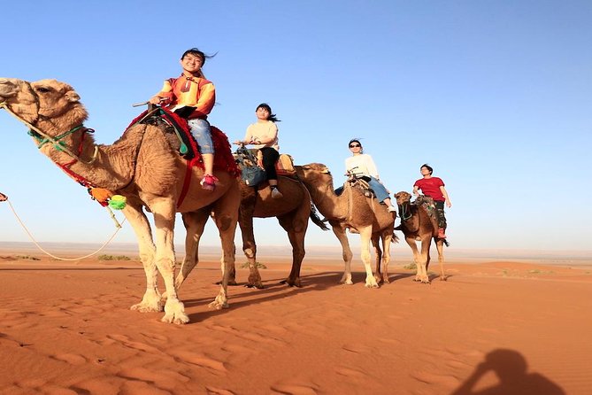 Fes to Fes 2 Days Desert Tours - Whats Included in the Tour