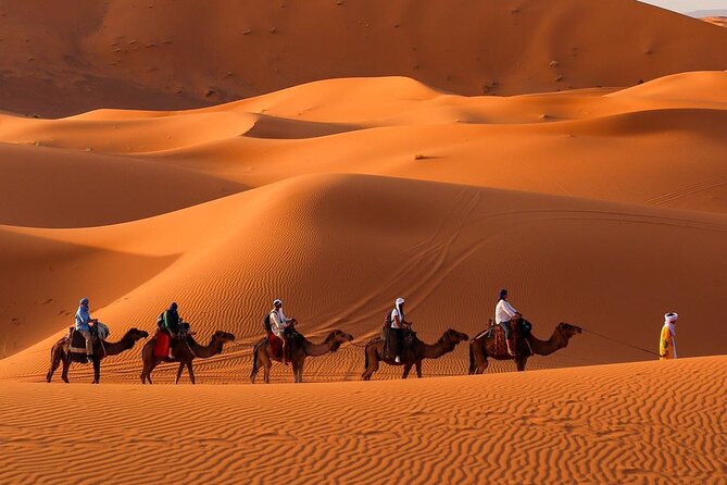 Fes to Sahara Desert 2-Day Tour: Camel Trek, Berber Camp & Sunset - Camel Trek Experience