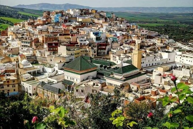 Fès to Volubilis, Moulay Idriss and Meknès Private Day Trip - Transportation and Pickup
