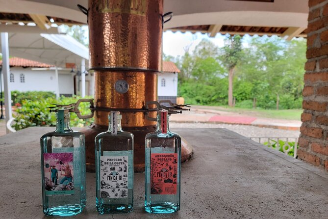 Finca 18 Tequila Tour With Snacks + Optional Pickup Point - Meeting and Pickup Information
