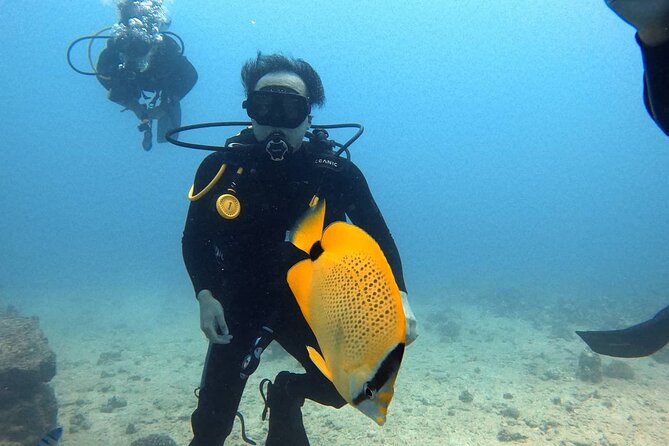 First Time Introductory Scuba Dive - Meeting Point and Logistics