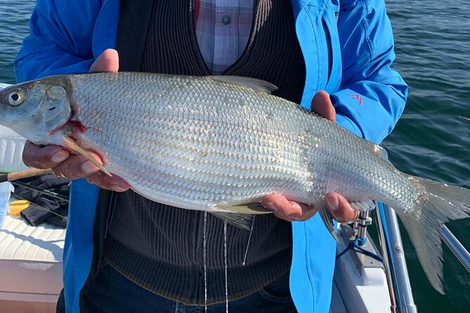 Fishing Tour With a Fishing Boat at Lake Constance (Untersee) - Fishing Experience Highlights