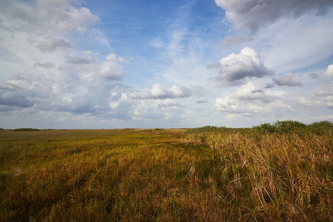 Flamingo Everglades Boat Tours - Accessibility Features and Amenities
