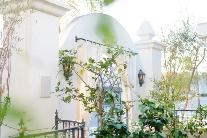 Food Tasting Experience and Guided Walking Tour in Santa Barbara - Culinary Delights