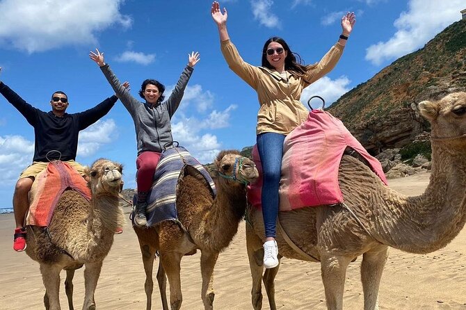 Food Tour of Tangier With Sightseeing, Camel & Lunch Included! - Cultural Experience