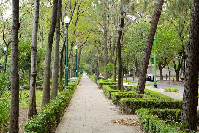 Foodie Tour in Polanco: Mexico Culinary Roots! - Meeting and End Points
