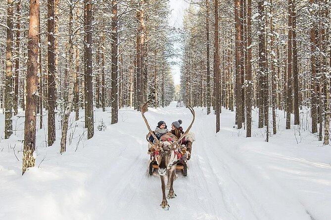 Forest Trail Reindeer Safari - Inclusions and Transport